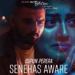 Senehas-Aware