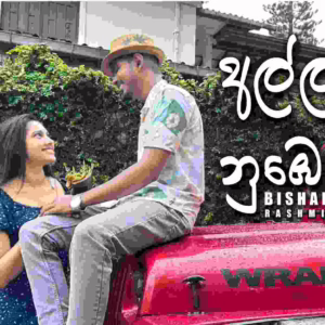 Allagena numbe detha